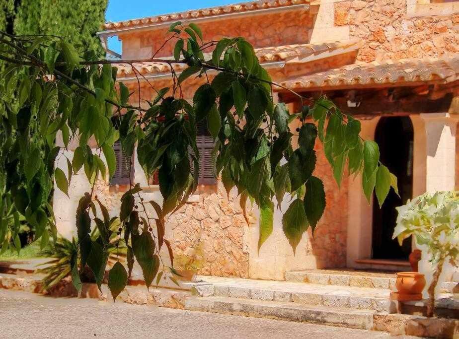 Ciclismo Y Golf Junto A La Playa Finca Son Sant Marti Gran Βίλα Muro Εξωτερικό φωτογραφία